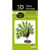 Fridolin 3D Paper Model Peacock