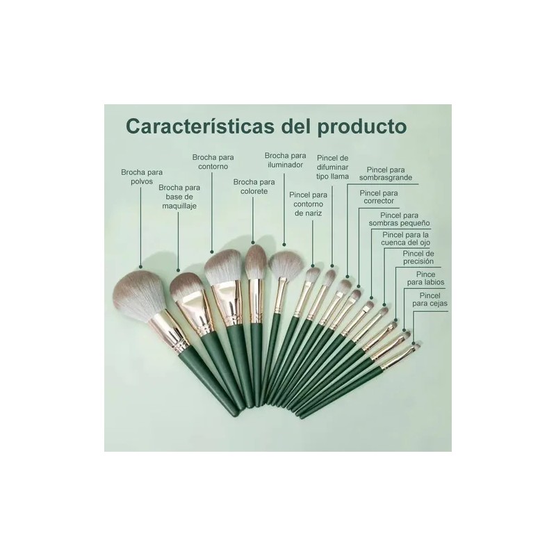 Set Brochas De Maquillaje 14 Piezas Profesional Y Verde