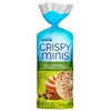 Quaker Crispy Minis Apple Cinnamon Large Brown Rice Cakes, 196g