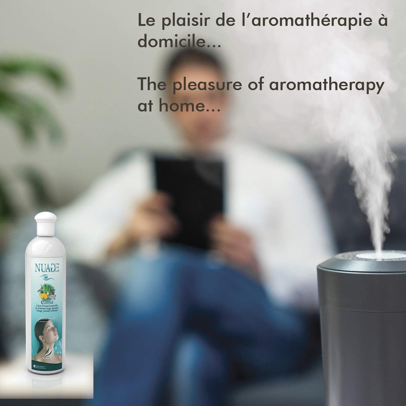 Camylle - Duft für Diffusor Citronella - Ätherischen Ölen Emulsion