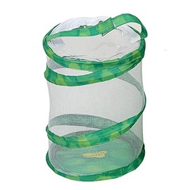 Insect Lore Mini Butterfly Habitat | Clear Mesh, Zipper, 8” Tall | Pop Up Folds Flat | Habitat for Most Insects