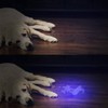 Vansky 12 LED Ultraviolet Black Light UV Light UV Light