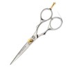 Professional Hair Cutting Scissors, 5.5 Inches, Hairdressing Scissors, Salon Quality