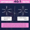 Totaria Suplemento Inositol Mujeres Vitamina Folato Complejo Mioinositol Chiroinositol Proporción