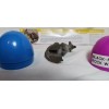Yowie Black-Flanked Rock Wallaby Collectible Miniature Figurine Super Powers