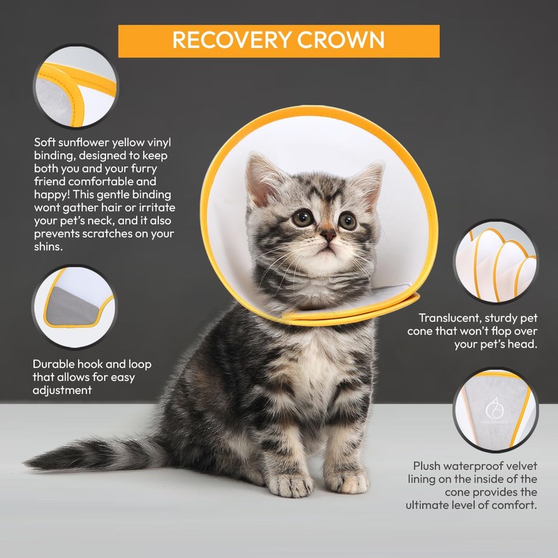 Animal Ortho Care Pet Cone E-Collar | Dog Cone, Recovery