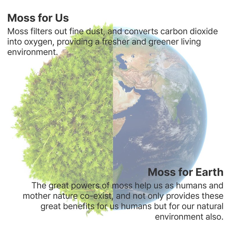 Mosslab Moss Air – Living Moss Terrarium Humidifier | Soothing