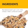 Heath Outdoor Products Heath DD4SS: 11-Ounce Bird's Blend High Energy
