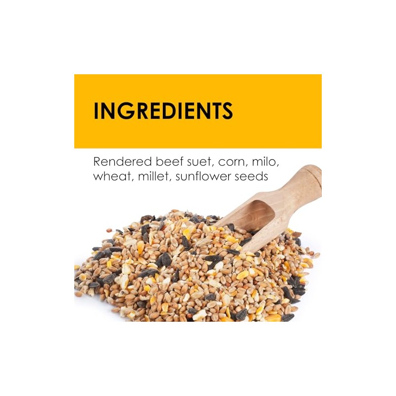Heath Outdoor Products Heath DD4SS: 11-Ounce Bird's Blend High Energy