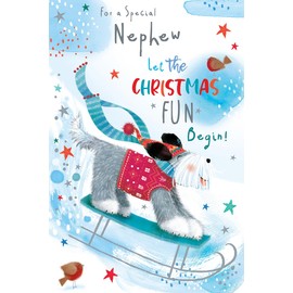 Nephew Christmas Card Cute Sledging Dog Robin 9" x 6" Lovely Verse