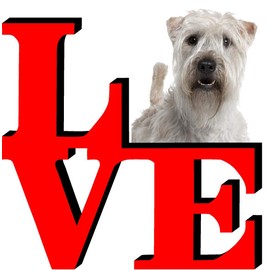 Soft Coated Wheaten Terrier Dog Love Park Cute Dog Fridge Refrigerator Car Magnet