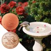 2PCS Bird Bath Copper Disk, 99.99% Pure Copper Bird Bath