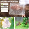 WenTao 50pcs Fruit Protection Bags 6x9 inch, White Mesh Drawstring