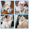 Iwamatu Cat Collar Bell, Red, Cat Collar, Includes Yellow Bell,