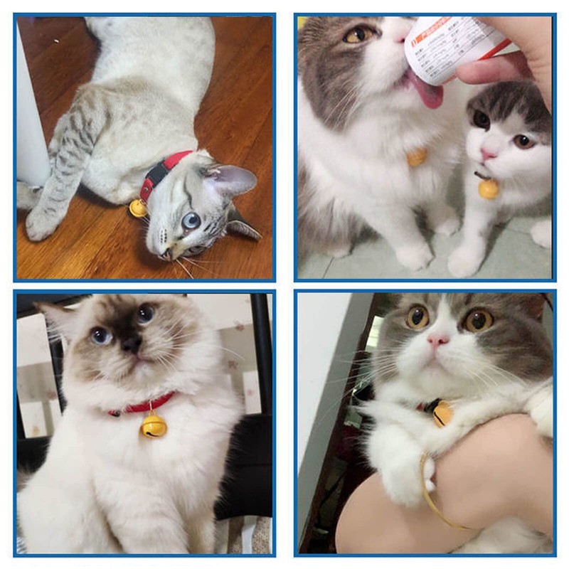Iwamatu Cat Collar Bell, Red, Cat Collar, Includes Yellow Bell,
