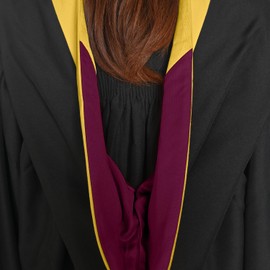 Endea Graduation Bachelors Hood for Science, Mathematics, Political Science, College Degrees - University Academic Regalia (Gold/Maroon/Gold)