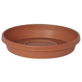 Bloem Terra Plant Saucer Tray for Planters 3-4" Terra Cotta