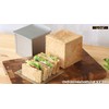 Asai Shoten Altite Bread Pan, 4.7 inches (12 cm), Square