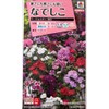 Takii Seedling Nadeshiko F1 Telstar Mixed