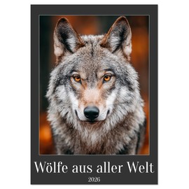Wölfe aus aller Welt (Wandkalender 2026 DIN A4 hoch), CALVENDO Monatskalender: Jeder Wolf blickt dir direkt in die Augen. Zwölf beeindruckende ... aus der ganzen Welt (CALVENDO Tiere)