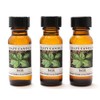 Crazy Candles Basil 3 Bottles 1/2 FL Oz Each (15ml)