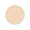 Pan Pastel Artists Pastel Orange Tint - 2808