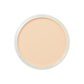 Pan Pastel Artists Pastel Orange Tint - 2808