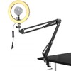 Kiyo pro Webcam Ring Light with Clamp Stand,10 Inch Sefie