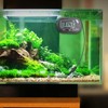 DIGIFLEX Digitales LCD Wasser Thermometer für Aquarium