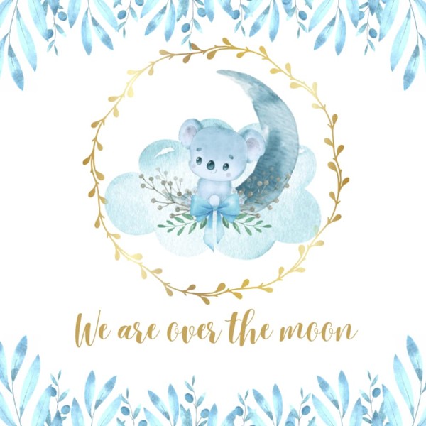We Are Over The Moon: Baby Shower Guest Book Moon