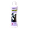 All belleza Matiz Violeta Shampoo Y Shampoo De Bergamota