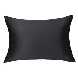 Lulusilk 16 Momme 100% Silk Pillowcase Hair and Skin Care Cushion Cover Wrinkle Resistant Pack of 1, 40*60cm