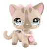 diylpshome miniature shorthair cat kitten toy pet figure cat and
