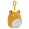 Squishmallows Leigh The Frog (3.5 Inch Clip)
