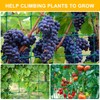 Moyibai Climbing Plant Trellis -27 Strands Heavy Duty Garden Trellis