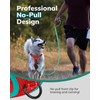 FAYOGOO Dog Harness, No-Pull Pet Harness Set for Small Medium