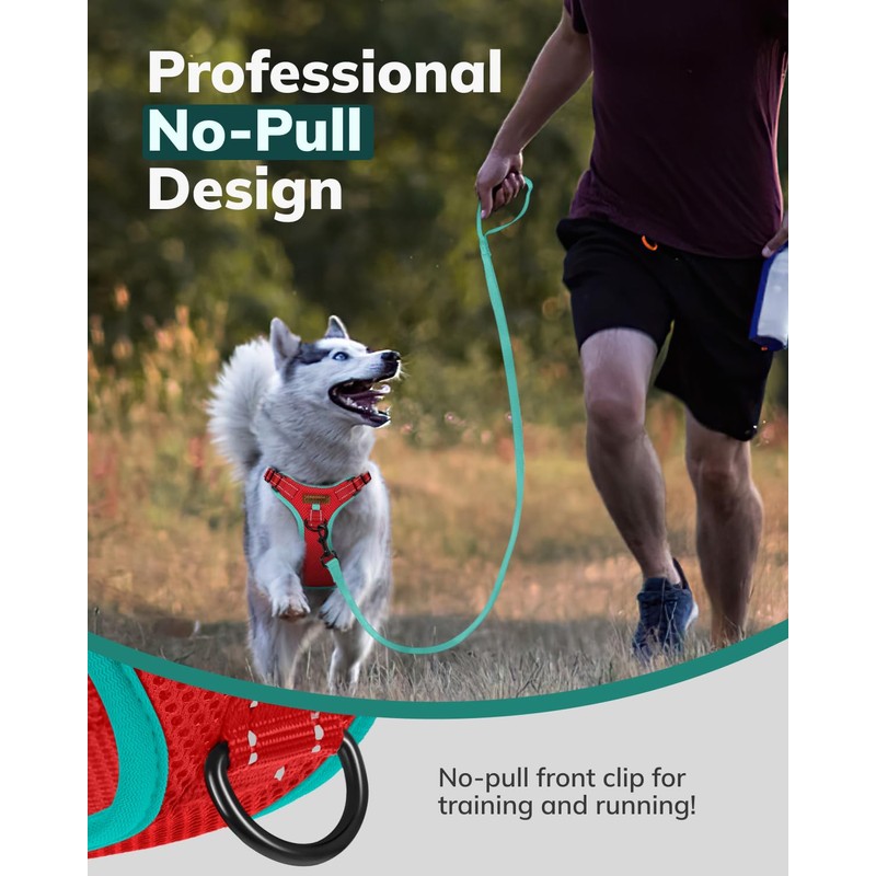FAYOGOO Dog Harness, No-Pull Pet Harness Set for Small Medium