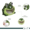 Decorative Dish Sponge Holder for Kitchen Sink - Frog