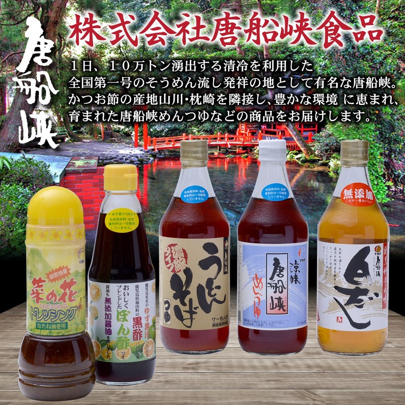 Tosenkyo Cool Noodle Sauce, 16.9 fl oz (500 ml)