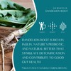 Teeccino Dandelion Blueberry Vanilla Chicory Coffee Alternative - Ground Herbal