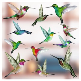 12 Mixed Beautiful Humming Bird Static Cling Window Stickers - Hummingbird Anti Collision Bird Strike Window Stickers - Unique Double Sided Print