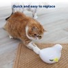 Peek-A-Bird Cat Toy Replacement Feathers – 2 Pack Refill Parts