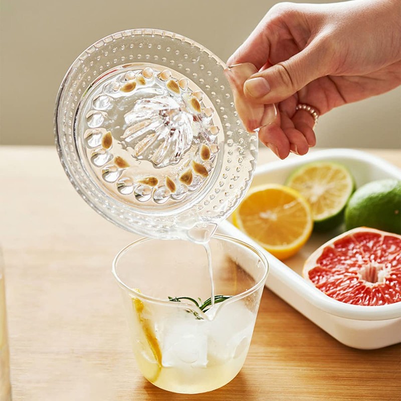 DOERDO Lemon Squeezer Fruit Hand Squeezer Hand Juicer with Handle,