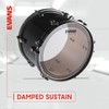 Evans EC2S Coated Drum Head - Translucent Series - Sound