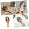 Healeved Mini Portable Hair Brush Detangling Hair Brush for Travel