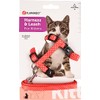 Flamingo Kitten Harness with Lead - Aiwa | Adjustable (15-25cm,