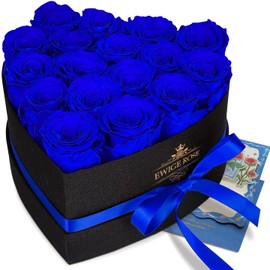 QHHENTOO 17 Infinity Roses, Eternal Blue Rose Gifts for Women, Preserved Rose in Heart Box for Women, Mother for Birthday, Anniversary, Valentine's Day, Mother's Day, Christmas, Wedding Anniversary,