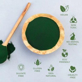 Alga Chlorella 100 Pura Orgánica En Polvo 100 Gr                                                                                                      
