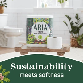 Aria 100% Recycled Toilet Paper, 1 Pack of 6 Rolls, 3 Soft Layers of Bath Tissue with Recyclable Paper Packaging