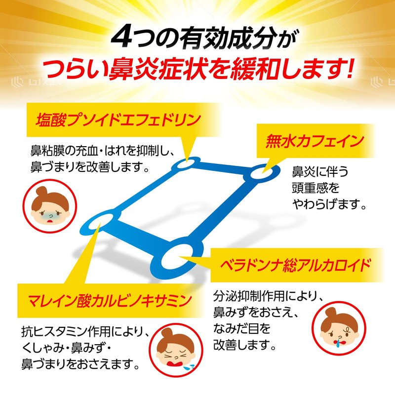 【指定第2類医薬品】パブロン鼻炎カプセルSα 24カプセル